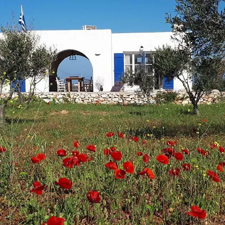 The White House Of Greece